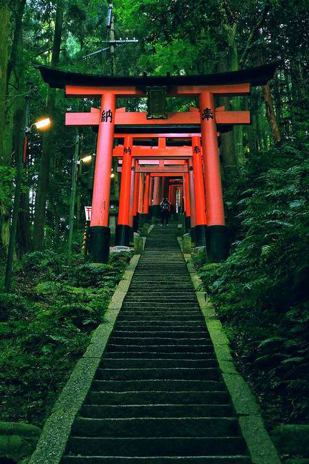 Photography🔥🔥👍👍👆👆👌👌✌