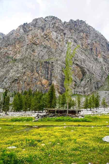 Anakar ,swat valley __ Pakistan