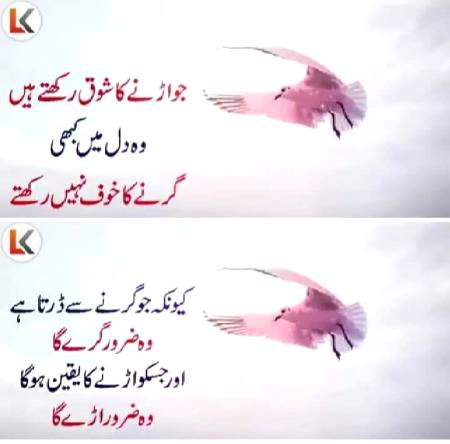 Perfect lines❤