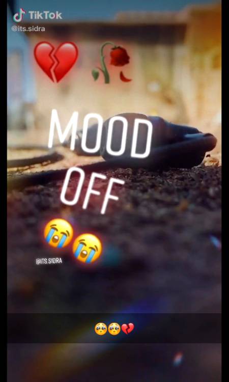 By by frindss and.my love Z bee happy hemsha happy.rho.😢😭