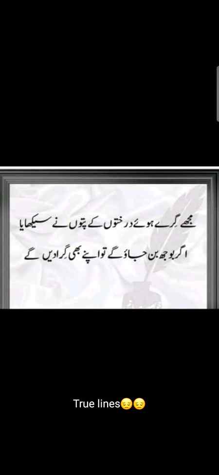 True lines
