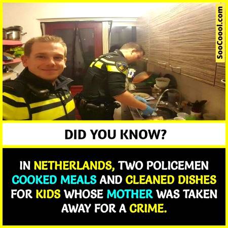 Did you know?.. Information