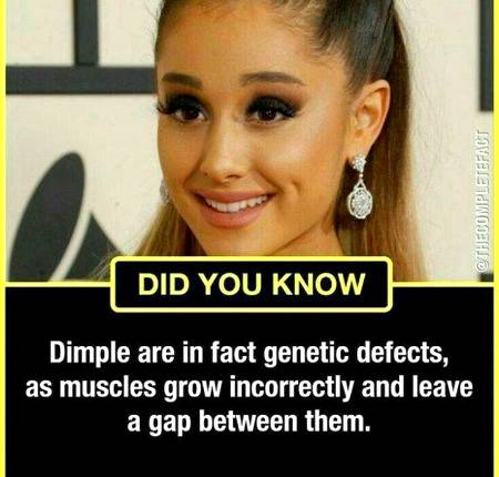 DID YOU KNOW??