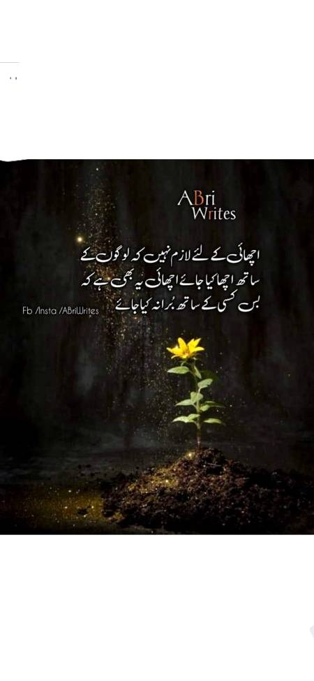 کاش وہ میرا دل بھی دیکھ لیتی میری پوسٹ کی طرح