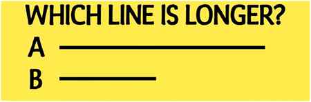 Which line is longer