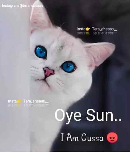 I am Gussa😡😡😡