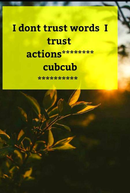 I Don't trust words