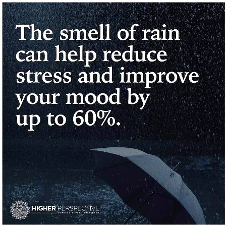 Amazing facts✌✌