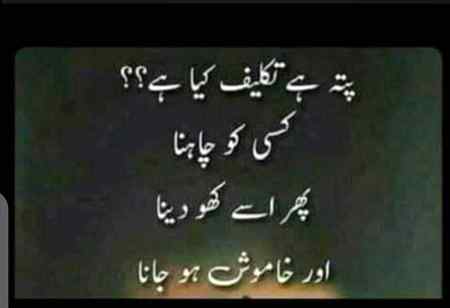 آنکھوں میں جو بھر لوگے تو کانٹوں سے چبھیں گے یہ 💚💚
یہ خواب تو پلکوں پہ سجانے کے لیے ہیں 💚💚