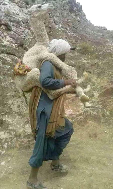 Kbhi kbhi aisa b hota hy