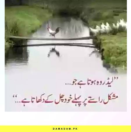 Haqeeqat..
