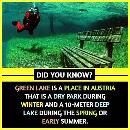 Did you know