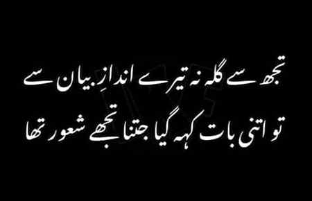 ہم نے نہ قطرہ دیکھا، نہ کبھی دریا پہ غور کیا

بس جہاں تیری جھلک نظر آئی وہیں ڈوب گئے