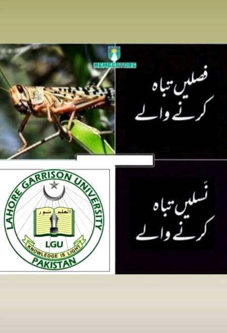 Any one comment on this