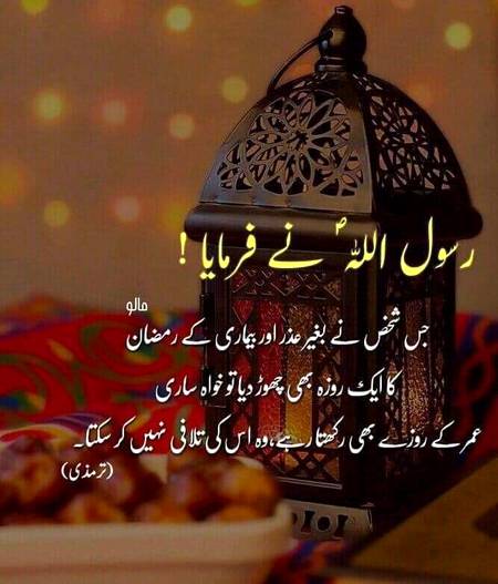 🌹🌹🌹صلی اللہ علی حبیبہ محمد نور من نوراللہ وعلی آلہ واہل بیتہ وعترتہ وازواجہ وصحبہ وجدہ وذریتہ و کل امتہ وبارک وسلم کثیراً کثیرا و دائماً ابدا 🌹🌹🌹