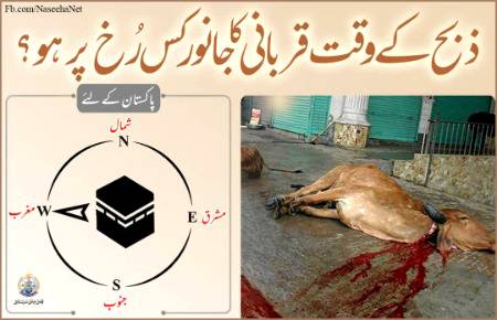 ذیبح ک وقت 🐐۔ 🐏