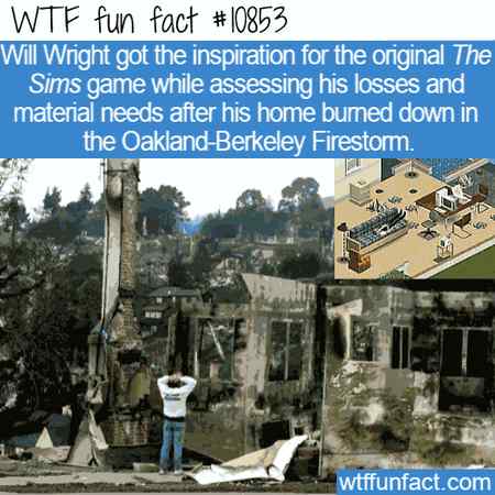 Fun fact