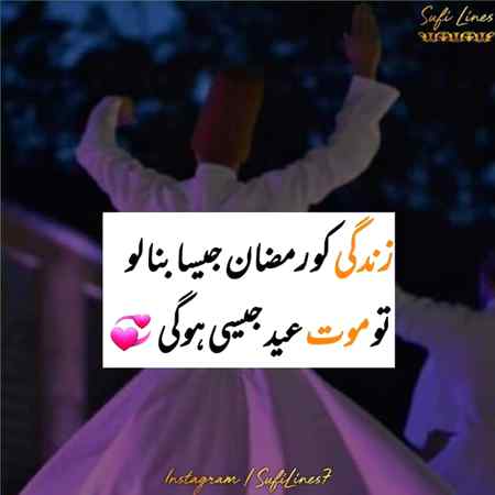 My favourite lines in my life