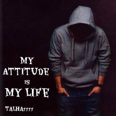My Attitude is my life . . .