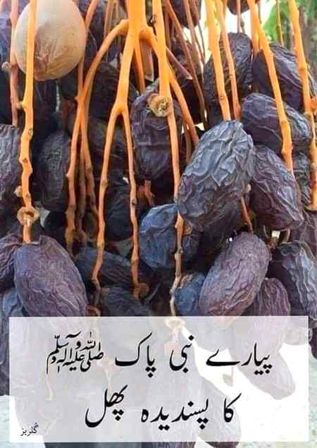 Sending by fareed ahmed shaikh