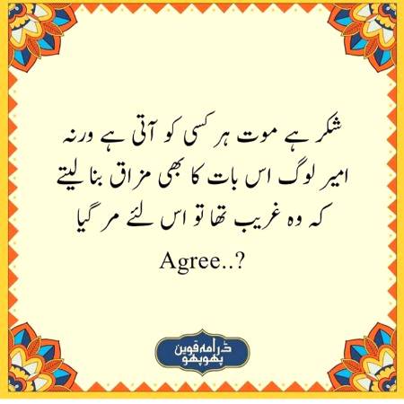 💯 Agree or not