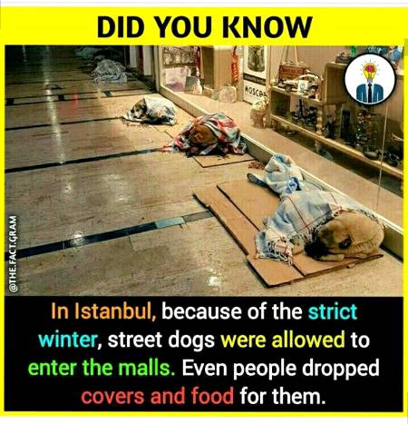 DID YOU KNOW??