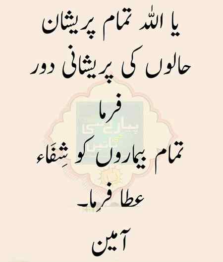 Sending by fareed ahmed shaikh ameen