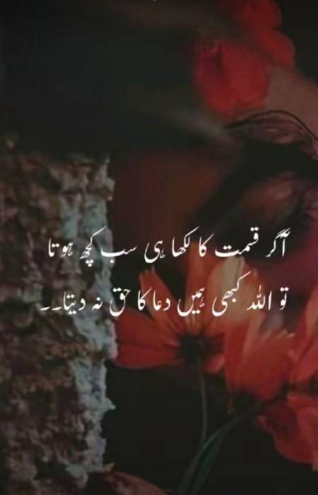 Beshak .n1 ❤❤