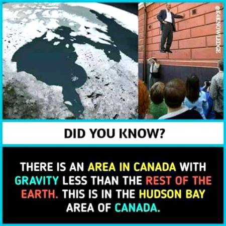 Unbelievable facts