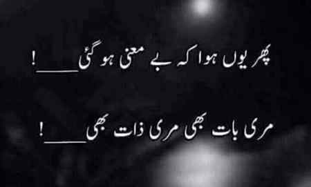 hlo friends