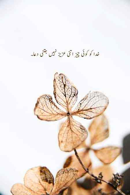 ربﷻ سے ہر لمحہ مانگتے رہا کریں،
 دعائیں دستک کی طرح ہوتی ہیں
 جو لوگ دستک کا بوجھ نہیں اٹھا سکتے
 ان کے دامن خالی رہتے ہیں۔۔