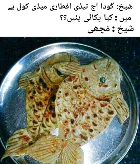 MACHLI.....🐳🐋🐟🐠🐬🐳🐋🐟🐠🐬
