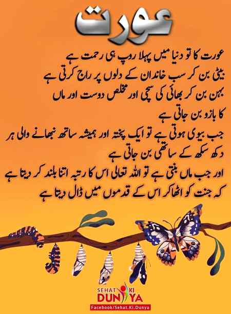 Sending by fareed ahmed shaikh
