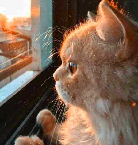 Everything is Temporary . Don't love 2 much 💔