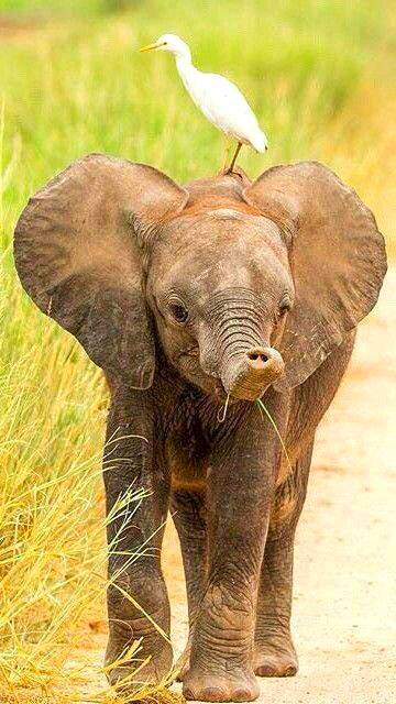 Photography 💕💕