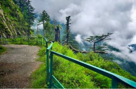 A beautiful view of Nathia Gali Murree❤❤❤