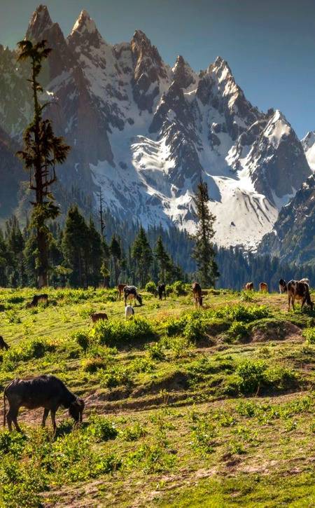 Swat valley___best place for peace seekers.