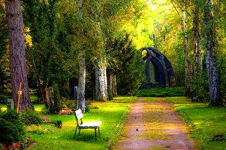 Beauty of nature