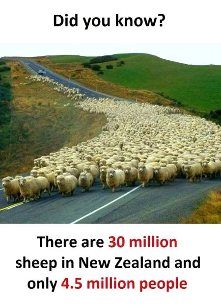 DID YOU KNOW??