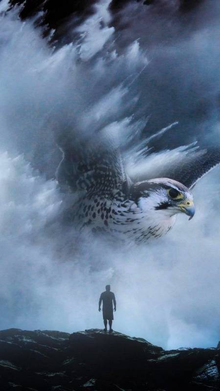 Amazing photography
