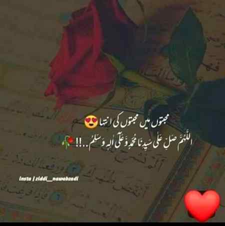 سنا ہے مشکلوں میں ساتھ کوئی بھی نہیں چلتا
زمانہ چھوڑ جائے تو مدینہ یاد کر لینا
⚘⚘