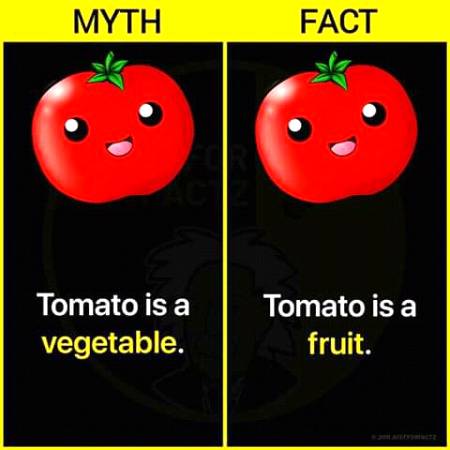 Fact vs myth..