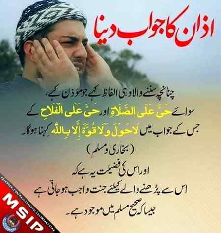 Sending by fareed ahmed shaikh