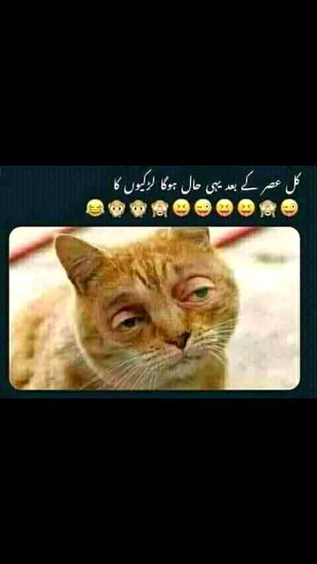 FoR cute