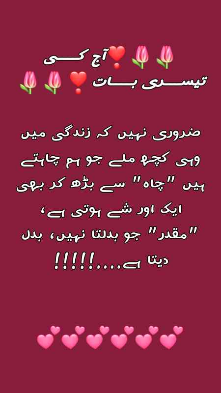 ༻᪣༺᪣fαtímα᪣༻᪣༺