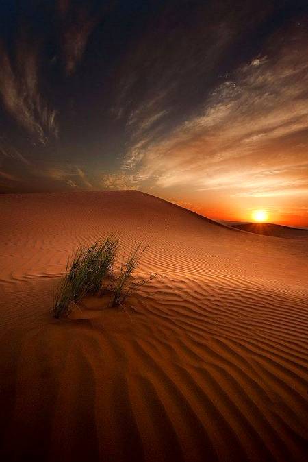 Photography🔥🔥