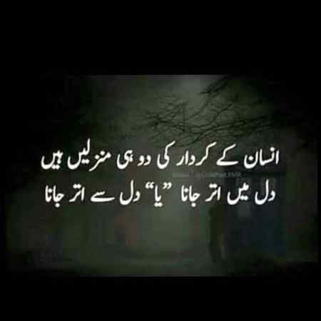 🍁Zoq_Shab🍁