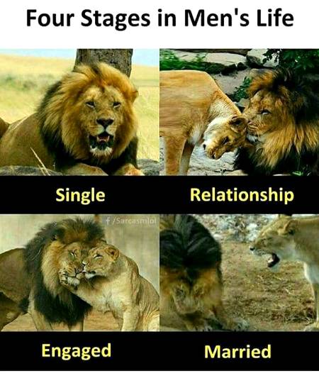 Four stages in men's life ...