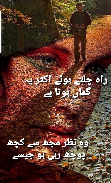 ناظم سحر ۔