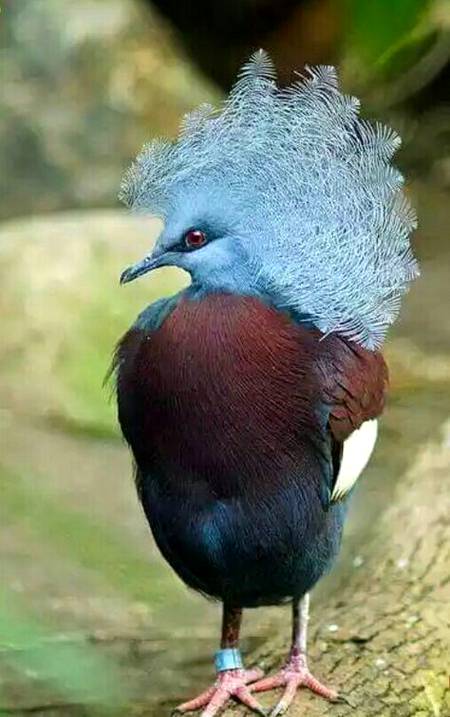 Beautiful bird photography 💕💕
